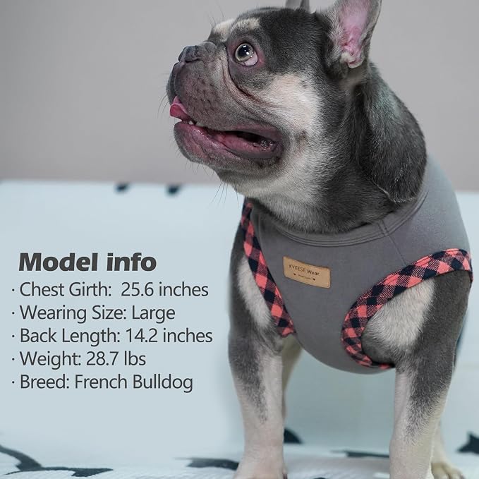 KYEESE Dog Shirt (2Pack Grey+Pink, Large) - Stretchy Velvet Pullover Vest, Lightweight Fleece, Sleeveless, Plaid Binding, Button Decoration, Breathable, Comfortable, for Small Dogs