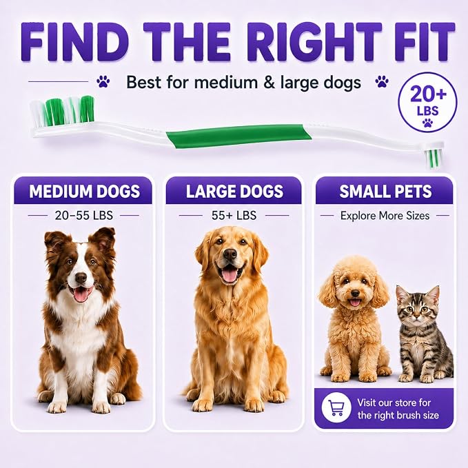 Dog Toothbrush, Dual-Head, for Medium-Large Dogs, Green | Soft Bristles for Gentle Cleaning, 60° Curved Bristles for Better Coverage, Comfortable for Sensitive Gums