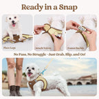 rabbitgoo Dog Harness Medium Sized and Leash Set, Step-in Puppy Pet Vest | Light, Soft, Breathable Air Mesh, Easy on and Remove with Hook & Loop, Secure Reflective for Walking, Brown & Beige L