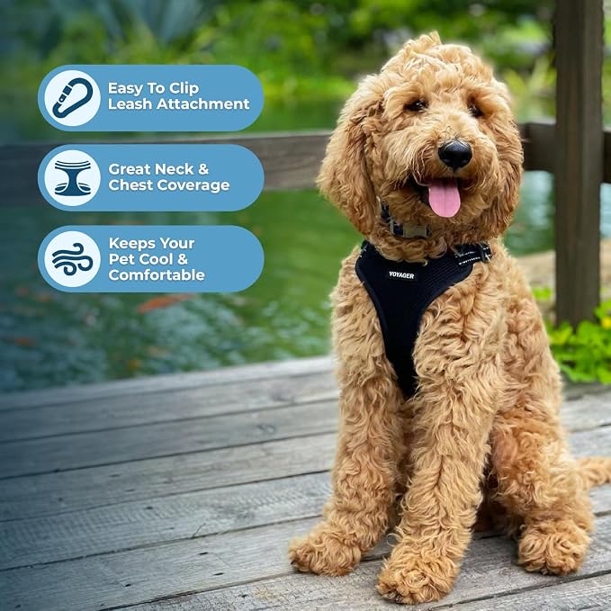 Voyager Step-in Flex Adjustable Dog Harness - Black, Large | 20 - 25" in Chest, Fully Adjustable, Reflective Bands, All Weather Breathable Air Mesh, Lightweight, Fast Drying