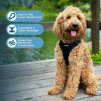 Voyager Step-in Flex Adjustable Dog Harness - Black, Large | 20 - 25" in Chest, Fully Adjustable, Reflective Bands, All Weather Breathable Air Mesh, Lightweight, Fast Drying