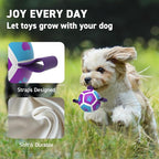 QDAN Small Dog Toys, Puppy Balls, Dog Balls with Straps for Small Breed | 3.5 Inch Small Soccer Ball for Dogs, Puppy Toys for 3-15 lbs Dogs, Dog Birthday Gift, Herding Ball for Small Dogs, Purple