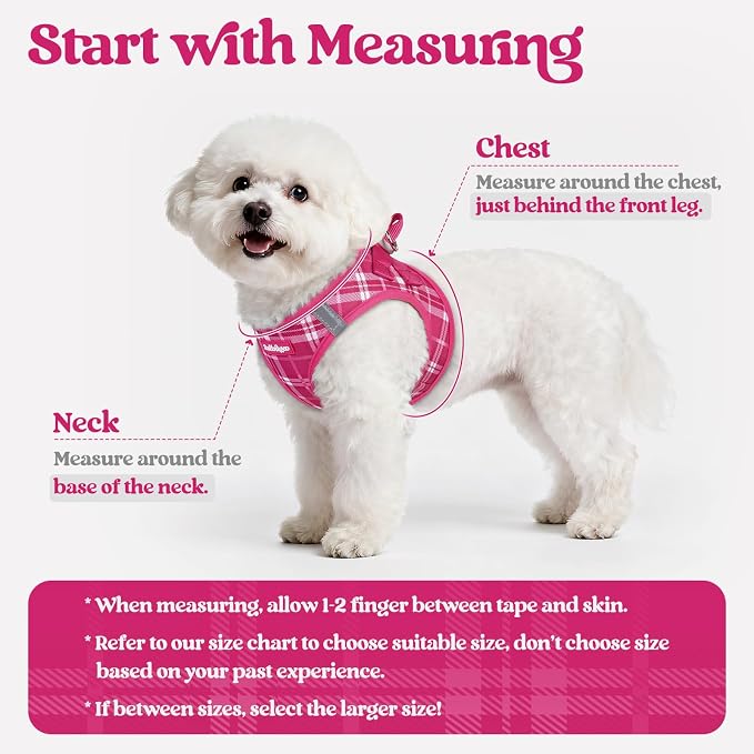 rabbitgoo Dog Harness Medium Sized and Leash Set, Step-in Puppy Pet Vest | Light, Soft, Breathable Air Mesh, Easy on and Remove with Hook & Loop, Secure Reflective for Walking, Rose Red Plaid L