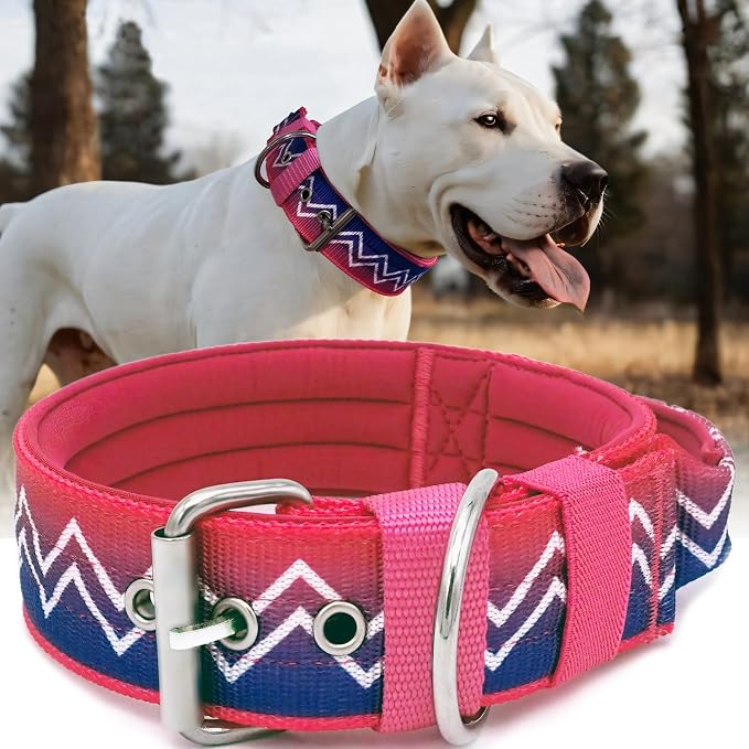 Dog Collar for Large Dogs,2 in Wide Heavy Duty,Pressure-Relief Padded, B-S | Professional Protection for Large and Giant Breeds,Handle for Control,Stainless Steel Buckle Ultra Safety,17-20 in