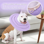 IDOMIK Dog Recovery Collar, Waterproof Soft Dog Cone After Surgery | Comfy Protective Elizabethan Collar Alternative for Dogs Cats, Adjustable Pet Neck Donut Cone Anti-Licking Wounds,Purple,L