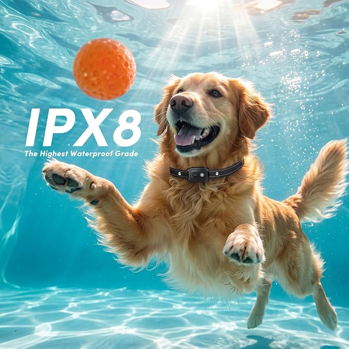 Next Gen Shock Collar for 2 Dogs, Real Time Dual-Dog Control, 4 Modes (Beep/Vibration/Safety Shock/Light), 4200FT Range, IPX8 Waterproof Dog Training Collar with Remote for Small Medium Large Dogs