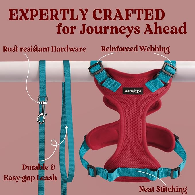 rabbitgoo Cat Harness and Leash Set, Escape Proof Vest, Red & Teal | Soft Breathable Mesh, Easy Adjustable Fit, Snap Buckles, Sturdy Clip, Reflective Strips, for Small & Average Cats Walks, Xs
