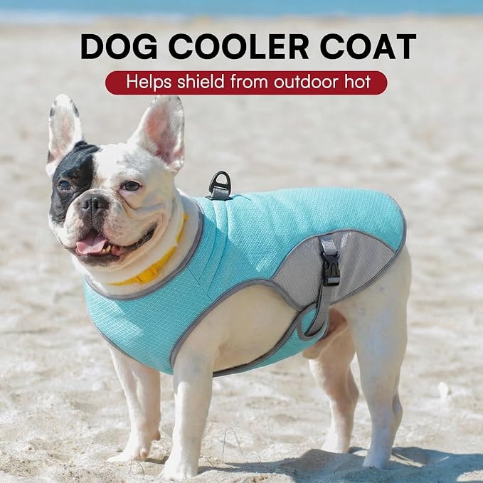 Dog Cooling Jacket for Large Dogs, Pet Cooling Vest with Mesh and D Ring, Dog Reflective Stripe Cooler Jacket for Beach, Hiking, Walking, Blue-L