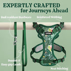 rabbitgoo Cat Harness and Leash Set, Escape Proof Vest, Rainforest Green | Soft Breathable Mesh, Easy Adjustable Fit, Snap Buckles, Sturdy Clip, Reflective Strips, for Kittens & Small Cats Walks, Xxs
