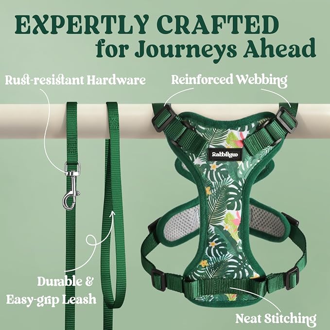 rabbitgoo Cat Harness and Leash Set, Escape Proof Vest, Rainforest Green | Soft Breathable Mesh, Easy Adjustable Fit, Snap Buckles, Sturdy Clip, Reflective Strips, for Kittens & Small Cats Walks, Xxs