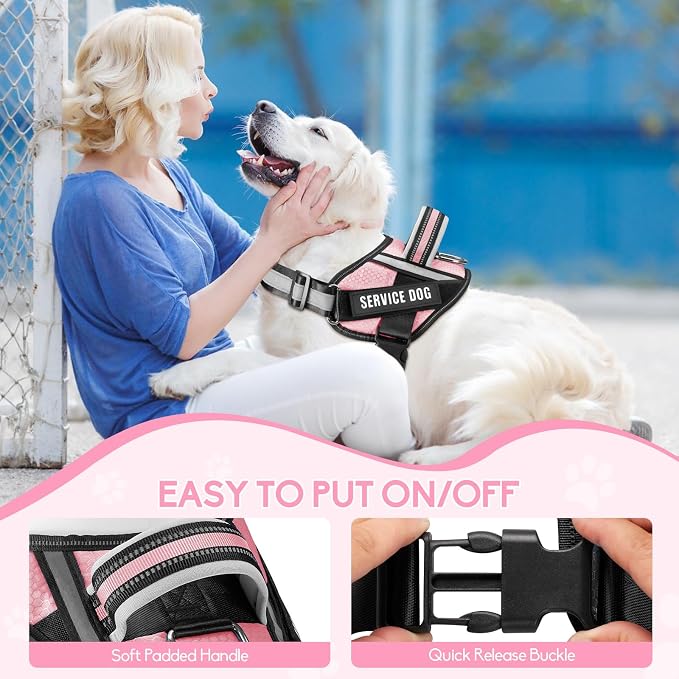 Service Dog Vest Harness and Leash Set, Animire in Training Dog Harness with 10 Dog Patches, Reflective Dog Leash with Soft Padded Handle for Small, Medium, Large, and Extra-Large Dogs (Pink,XS)