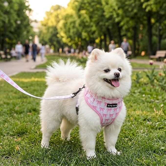 Small Dog Harness and Leash Set of 6, No Pull Soft Lightweight Mesh Puppy Harness, Adjustable Cute Floral Pattern Pet Harness for Small Medium Dogs (Pink Bow, L)