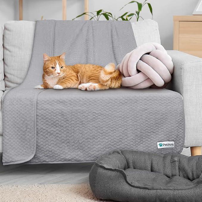 PetAmi Waterproof Dog Blanket, Leakproof Puppy Blanket, 24x32 Light Gray | For Small Medium Pets, Furniture Sofa Couch Cover Protector, Fleece Throw Indoor Cat Kitten, Reversible Washable Soft Plush