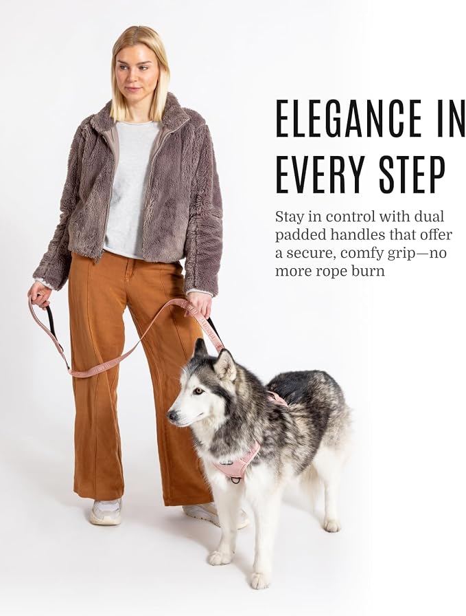 Fei & Eve Classic Dog Leash | Soft-Touch 210D Nylon, Dual Padded Handles, Traffic Handle, Tangle-Free, Heavy Duty, Blush, 4FT