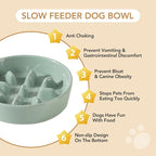 Havniva Elevated Slow Feeder Dog Bowls, Ceramic Dog Bowl Slow Feeder Set | 1.2 Cups Raised Slow Feeding Bowl for Small Breed, 6.1” Dog Water Bowl with Wooden Stand, Puzzle Dog Slow Feeder, Non-slip