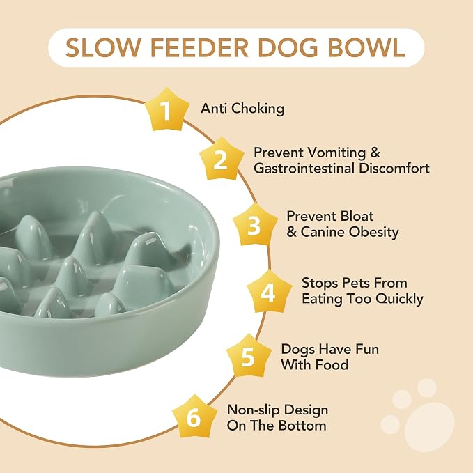 Havniva Elevated Slow Feeder Dog Bowls, Ceramic Dog Bowl Slow Feeder Set | 1.2 Cups Raised Slow Feeding Bowl for Small Breed, 6.1” Dog Water Bowl with Wooden Stand, Puzzle Dog Slow Feeder, Non-slip