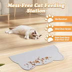 Elevated Cat Bowls with Non-Slip Mat - 7.1" Wide Whisker Friendly Dishes, Neck Stress-Free, Raised Stainless Steel Bowls for Flat-Faced/Senior Cats & Small Dogs, Indoor/Travel Use, 2-Pack
