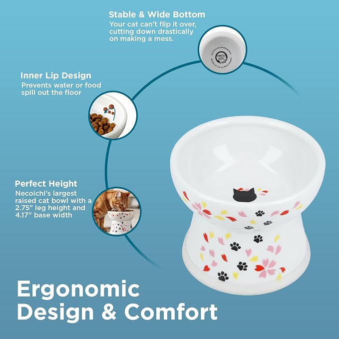 Necoichi Ceramic Elevated Cat Food Bowl (Sakura, Large Flat)