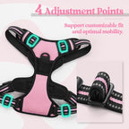 rabbitgoo Dog Harness, No Pull Medium Sized with 2 Leash Clips, Pet Vest | No Choke with Handle, Adjustable Soft Padded, Reflective, Easy Control for Walking, Pink, Medium