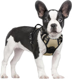 rabbitgoo Dog Harness, No Pull for Small Dogs with 2 Leash Clips, Pet Vest | No Choke with Handle, Adjustable Soft Padded, Reflective, Easy Control for Walking, Beige, Small