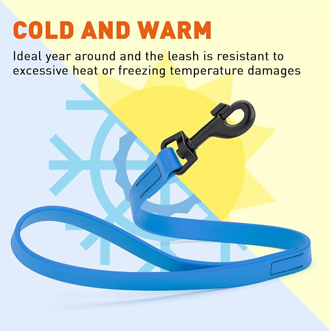 Dogline Biothane Waterproof Dog Leash Strong Coated Nylon Webbing with Black Hardware Odor-Proof Easy to Clean High Performance for Small or Large Dogs Made in USA 2 ft Lead, Cerulean Blue