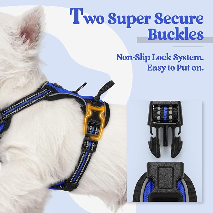rabbitgoo Dog Harness, No Pull for Small Dogs with 2 Leash Clips, Pet Vest | No Choke with Handle, Adjustable Soft Padded, Reflective, Easy Control for Walking, Dazzling Blue, X-Small