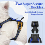 rabbitgoo Dog Harness, No Pull for Small Dogs with 2 Leash Clips, Pet Vest | No Choke with Handle, Adjustable Soft Padded, Reflective, Easy Control for Walking, Dazzling Blue, X-Small