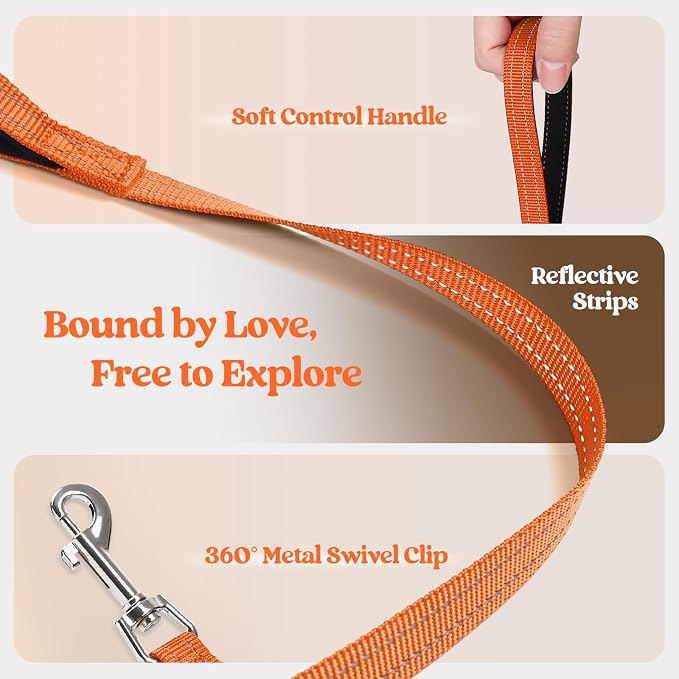rabbitgoo Dog Harness Small Sized and Leash Set, Step-in Puppy Pet Vest | Light, Soft, Breathable Air Mesh, Easy on and Remove with Hook & Loop, Secure Reflective for Walking, Orange XXS