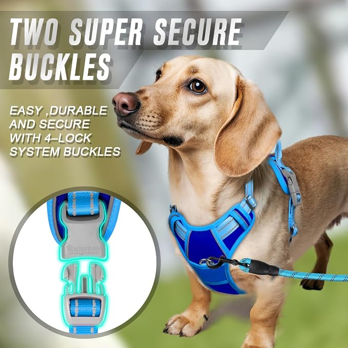 BARKBAY No Pull Dog Harness Front Clip Heavy Duty Reflective Easy Control Handle for Large Dog Walking(Sapphire Blue & Blue,XS)