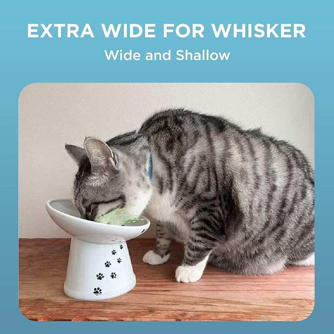 Necoichi Ceramic Elevated Cat Food Bowl, 15° Tilted (Cat, Extra Wide Tilted)