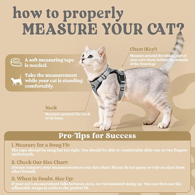 rabbitgoo Cat Harness and Leash Set, Escape Proof Vest, Grey | Soft Breathable Mesh, Easy Adjustable Fit, Snap Buckles, Sturdy Clip, Reflective Strips, for Medium to Large Cats Walks, M