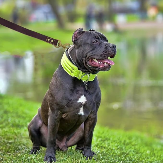 Heavy Duty Leather Dog Leash 6 ft x 1 inch,Strong Double Stitched Genuine Leather Pets Training Leash for Walking,Soft Handle and Durable Lead for Small Medium and Large Dogs Brown