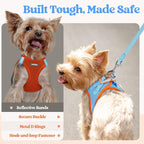 rabbitgoo Dog Harness Small Sized and Leash Set, Step-in Puppy Pet Vest | Light, Soft, Breathable Air Mesh, Easy on and Remove with Hook & Loop, Secure Reflective for Walking, Blue & Orange XXXS