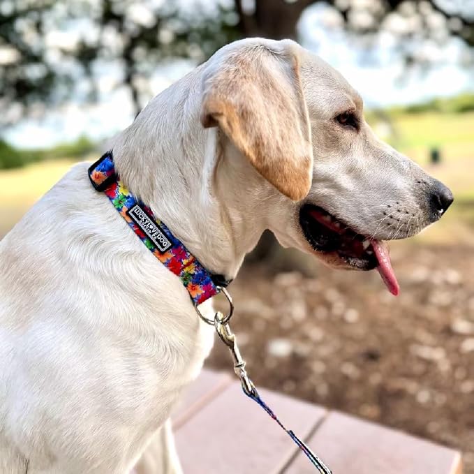Lucky Love Dog - Easy Click Buckle Dog Collar with Leash Set Combo, Durable & Comfortable for Male & Female Dogs, Pet Collar for Medium Dogs, Secure Fit - Hana Combo, Medium