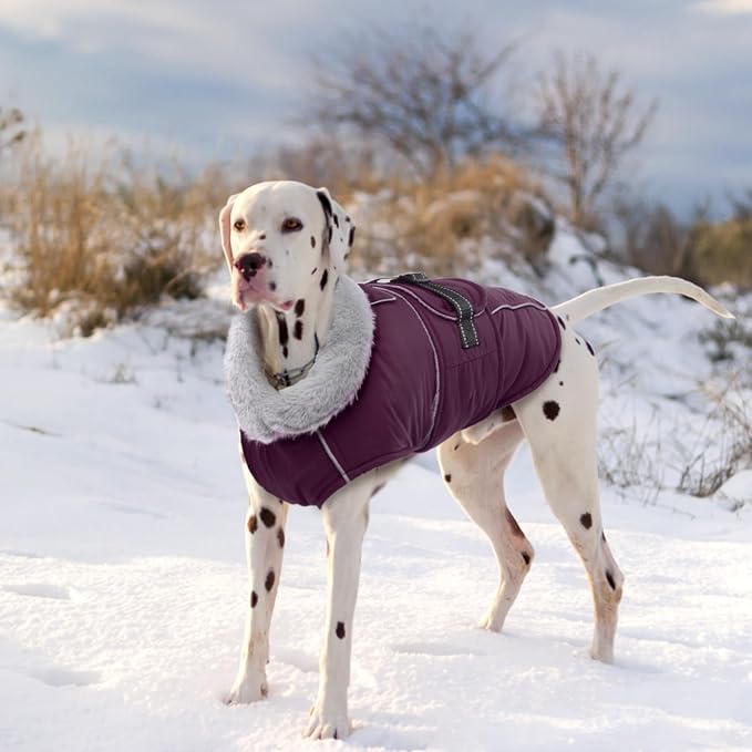 Lelepet Dog Jackets for Small Dogs Waterproof Dog Coat with Adjustable Fit | Reflective Fleece Vest with Adjustable Buckle Hook & Loop Windproof Cold Weather Coats for Small Medium Large Dogs, Chihuahua