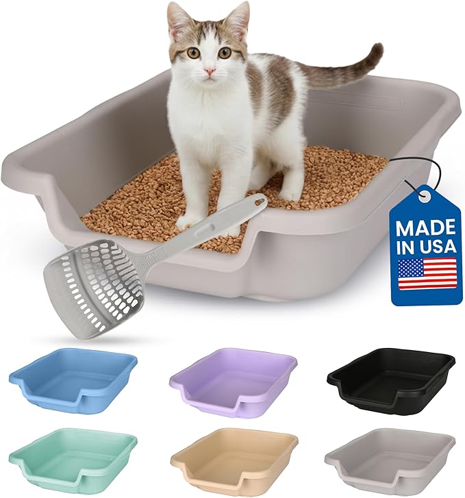KittyGohere Senior Cat Litter Box Small with Scoop, Misty Gray | Open Top Low Entrance Kitty Litter Box With With Long-handle Jumbo Scoop, Lightweight & Durable Litters Box, Made in USA