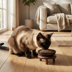 SPUNKYJUNKY Extra Wide Elevated Ceramic Cat Bowl with Acacia Wood Stand Whisker Friendly (Cat Paw Pattern, 2 Pack, Black)