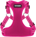 Voyager Step-in Flex Adjustable Dog Harness - Fuchsia, X-Large | 23 - 28" in Chest, Fully Adjustable, Reflective Bands, All Weather Breathable Air Mesh, Lightweight, Fast Drying