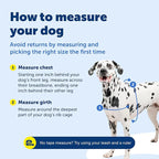 PetSafe Easy Walk Harness, No Pull Dog Harness, Medium/Large Charcoal Gray