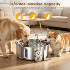 Invengo 8L/270oz Quiet Stainless Steel Dog Water Fountain, 2 Filters | 50% Thicker 6mm Steel, Dual Filters, 6-Layer Deep Purification, Under 25dB Whisper-Quiet Operation, 2 Flow Modes