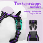 rabbitgoo Dog Harness, No Pull Medium Sized with 2 Leash Clips, Pet Vest | No Choke with Handle, Adjustable Soft Padded, Reflective, Easy Control for Walking, Purple, Medium