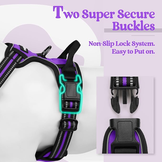 rabbitgoo Dog Harness, No Pull for Small Dogs with 2 Leash Clips, Pet Vest | No Choke with Handle, Adjustable Soft Padded, Reflective, Easy Control for Walking, Purple, Small