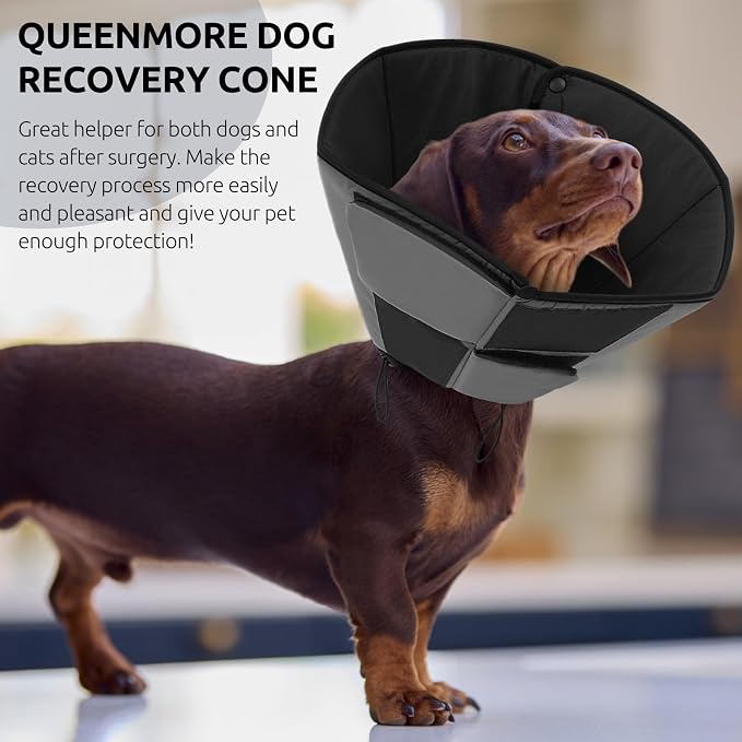 Queenmore Dog Cones for Large Dogs, Soft Dog Cone for Large Breeds, Cone for Dogs After Surgery, Adjustable Elizabethan Collar for Pet to Prevent Licking Wounds, Grey L