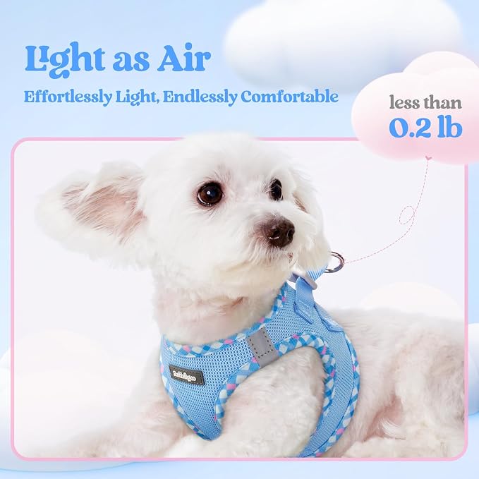 rabbitgoo Dog Harness Small Sized and Leash Set, Step-in Puppy Pet Vest | Light, Soft, Breathable Air Mesh, Easy on and Remove with Hook & Loop, Secure Reflective for Walking, Blue & Plaid Trim XS