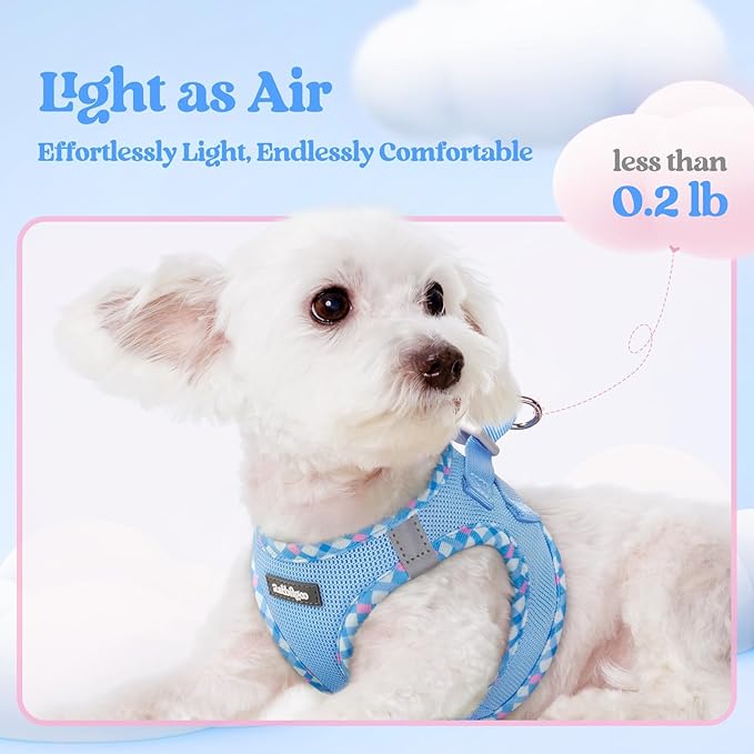 rabbitgoo Dog Harness Small Sized and Leash Set, Step-in Puppy Pet Vest | Light, Soft, Breathable Air Mesh, Easy on and Remove with Hook & Loop, Secure Reflective for Walking, Blue & Plaid Trim M