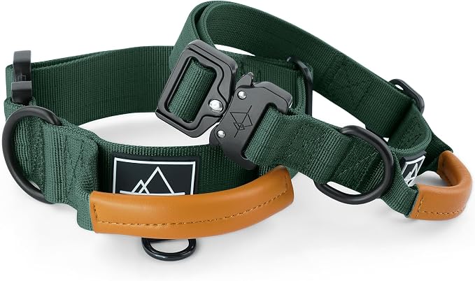 MADE TO ROAM Control Dog Collar | Leather Handle & Heavy Duty Metal Buckle | Premium adjustable collar with vegan leather handle. Fits medium to large dogs. 15 colors. Matching leash & harness