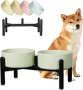 Ceramic Elevated Dog Bowl Set - Dog Feeder Station with Cute-Style Double Bowls for Small and Medium Size Breed - Non-Slip Raised Dish for Food and Water Feeding- 6 Inch - 3.5 Cups / 20 fl oz - Green