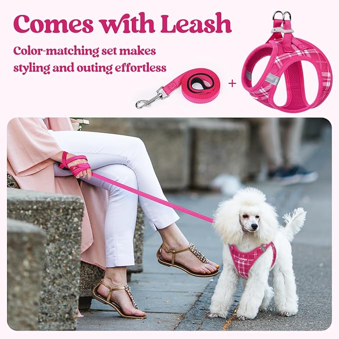 rabbitgoo Dog Harness Small Sized and Leash Set, Step-in Puppy Pet Vest | Light, Soft, Breathable Air Mesh, Easy on and Remove with Hook & Loop, Secure Reflective for Walking, Rose Red Plaid XXS