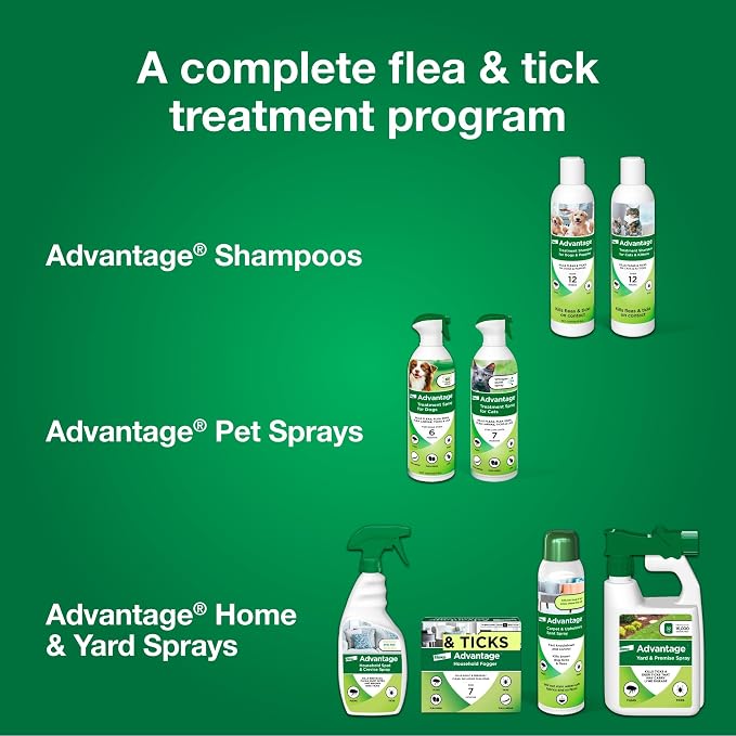Advantage Dog Flea & Tick Shampoo for Puppies & Adult Dogs | Kills Fleas & Ticks | 12 oz.