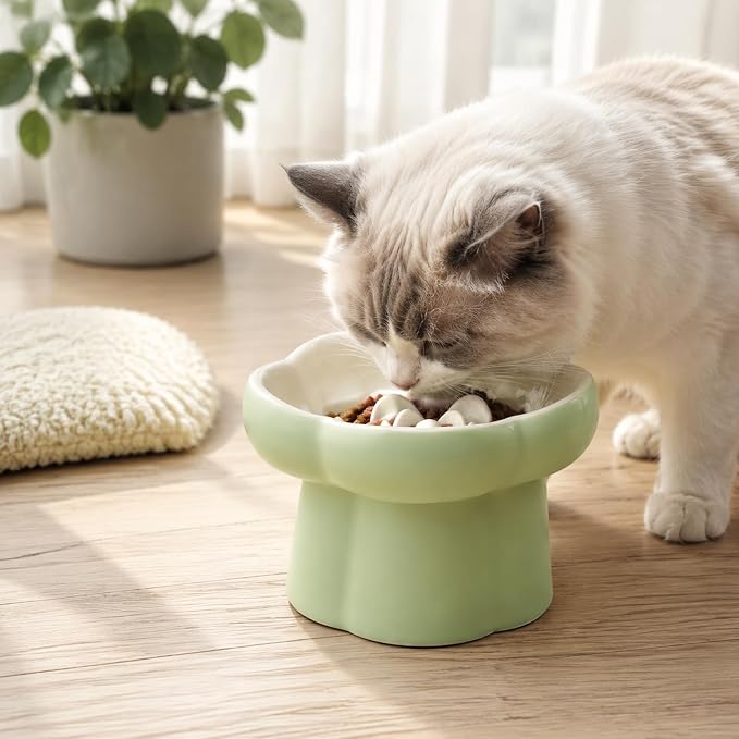 Ceramic Slow Feeder Cat Bowl with 2 Cat Food Scoop, Choke-Proof & Anti-Tip for Cats & Small Dogs, for Dry Wet Food Easy to Clean